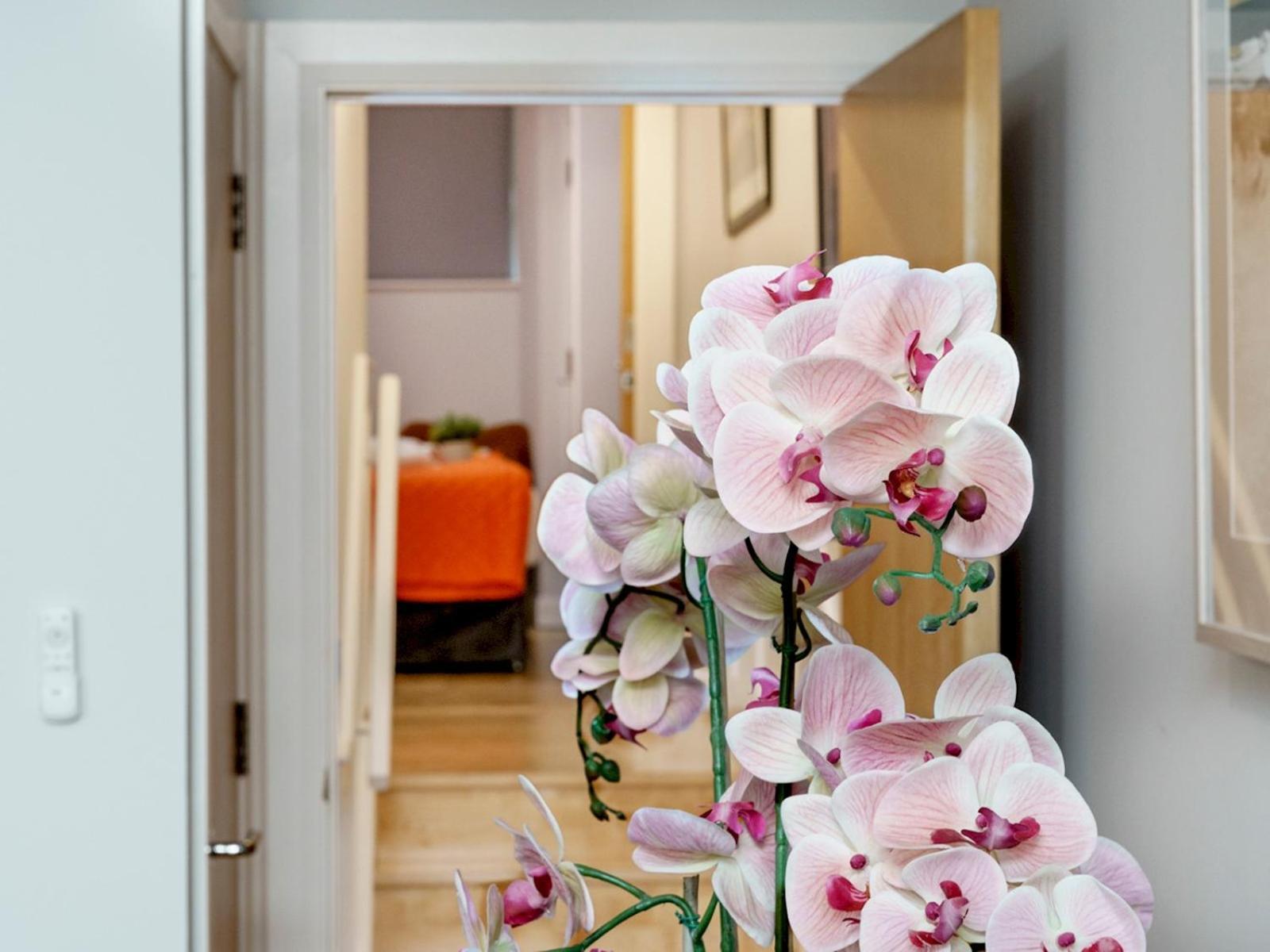 The Linen Mill Apartment Pass The Keys Belfast Ngoại thất bức ảnh