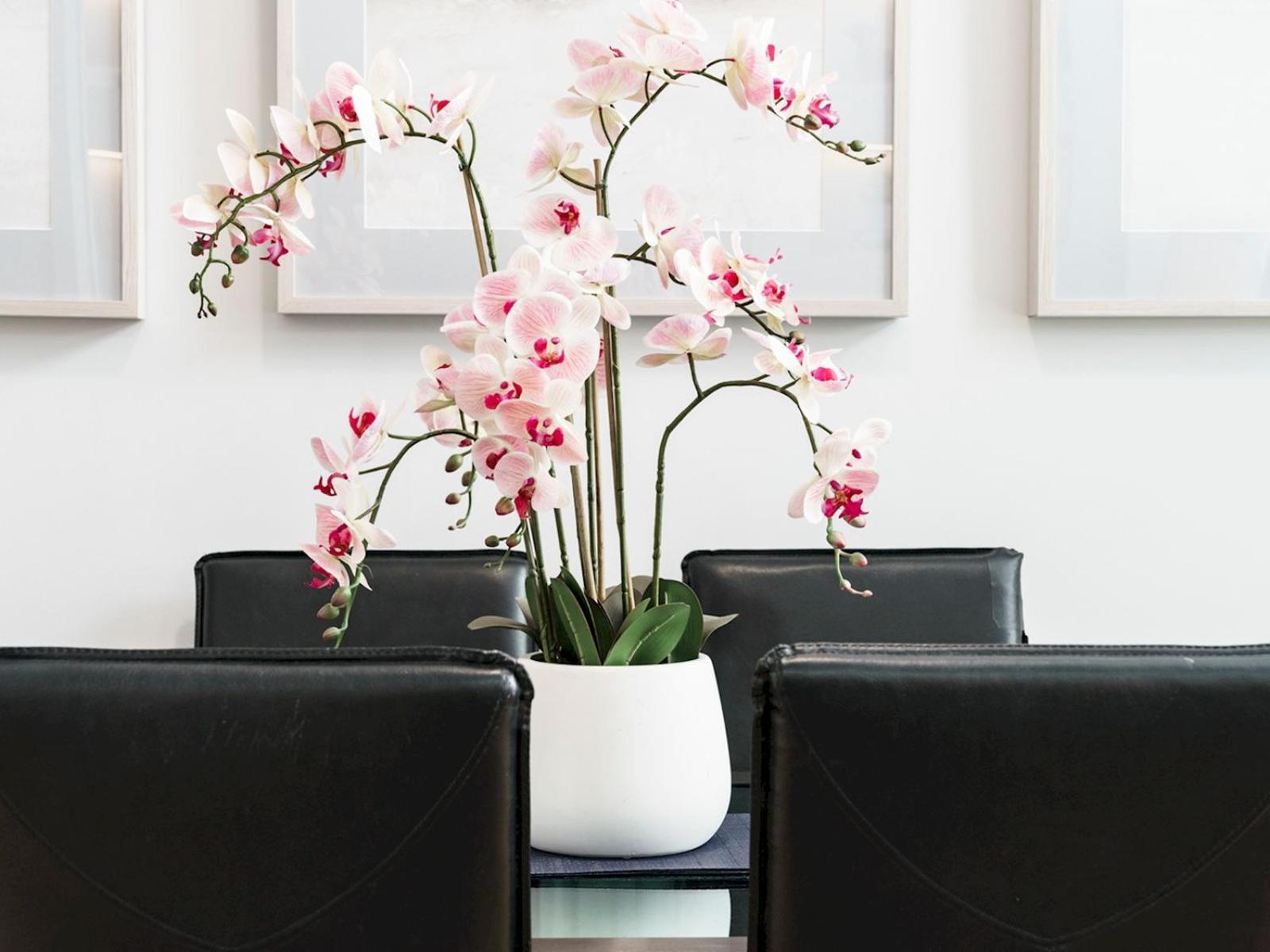 The Linen Mill Apartment Pass The Keys Belfast Ngoại thất bức ảnh